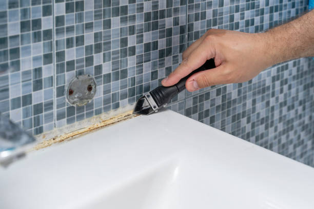 Best Certified Mold Removal  in Hernando Beach, FL