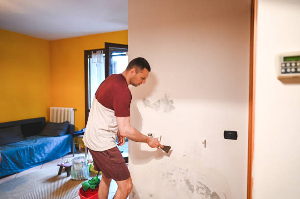 Best Residential Mold Removal  in Hernando Beach, FL